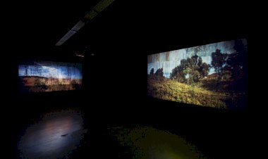 Reabertura da exposição “Primeiras Impressões de uma Paisagem”, de João Nisa