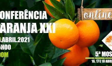 Conferência Laranja XXI debate os desfios do sector em mais uma mostra Silves Capital da Laranja