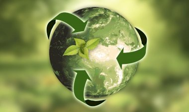 Município de Vouzela e Planalto Beirão promovem exposição sobre sensibilização ambiental e entregam mini-ecopontos à comunidade