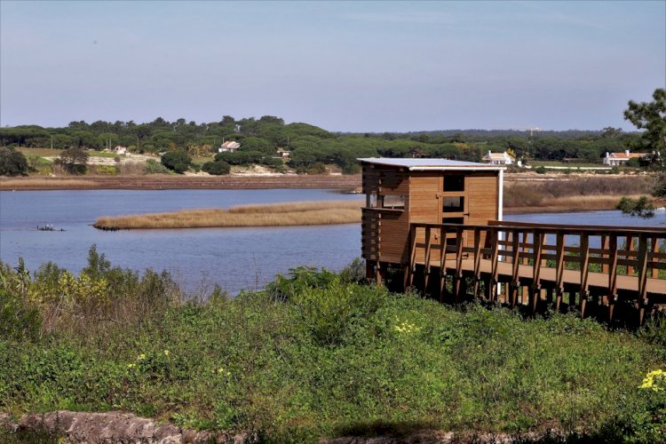 Município de Grândola abre um novo abrigo de Observação de Aves na Lagoa de Melides