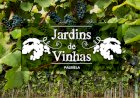 Novo Percurso Pedestre “Jardim de Vinhas” alia enoturismo e turismo de natureza