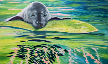 Próximas exposições do Museu de Portimão navegam no imenso oceano da arte