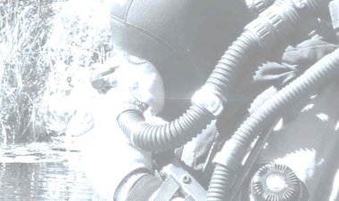 Diving Talks: Troia recebe elite mundial do mergulho