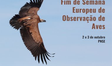 Fim-de-semana Europeu de Observação de Aves
