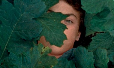 Sessão de Cinema “A Metamorfose dos Pássaros”, de Catarina Vasconcelos no Centro de Artes e Espectáculos da Figueira da Foz