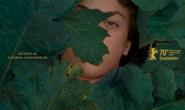 “A Metamorfose dos Pássaros” é o filme português candidato aos Óscares 2022