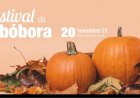 II Festival das Abóboras em Moimenta da Beira