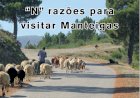 "N" razões para visitar Manteigas