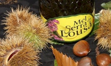 Mercado de Outono na Lousã nos dias 20 e 21 de Novembro