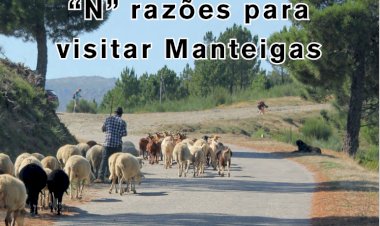 "N" razões para visitar Manteigas