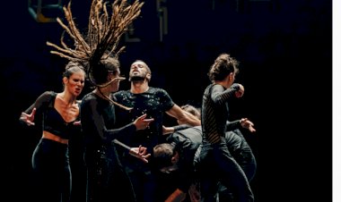 Paulo Ribeiro regressa ao palco do Teatro Viriato com celebração de 26 anos da sua companhia