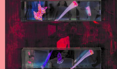 Exposição “Novos Diálogos no Acervo” inaugura este sábado