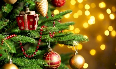 A magia do Reino de Natal regressa a Sintra