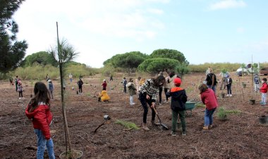 Verdelago comemorou Dia da Floresta Autóctone com plantação de 200 árvores