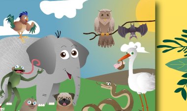 Município de Ponte de Lima promove apresentação do livro "Aprende com os Animais"