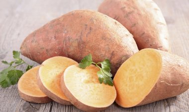 Grândola apresenta Semana Gastronómica da Batata-Doce