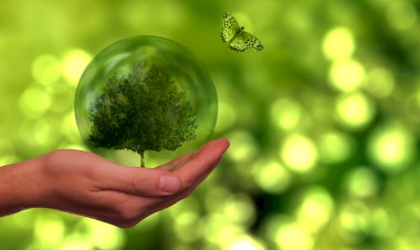 Vouzela é o primeiro concelho do país com selo de certificação Biosphere Destination