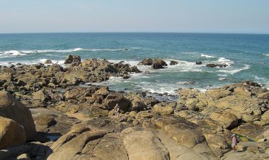 Torre de Vigia de Canidelo será centro inovador de reciclagem e reutilização de lixo marinho