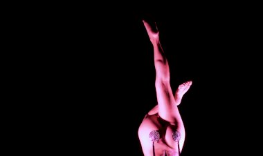 Encontro de dança NANT do Teatro Viriato há 10 anos a “dar o corpo ao manifesto”