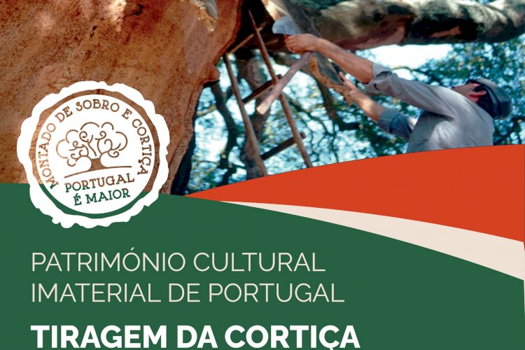 Regressa a Coruche a magia do cinema - Câmara Municipal de Coruche