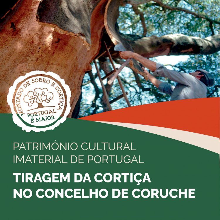 Tiragem da cortiça no concelho de Coruche reconhecida como Património Cultural Imaterial