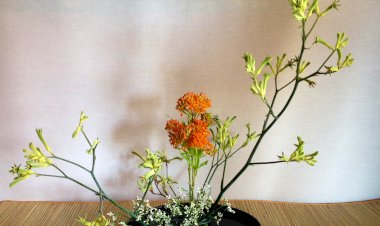 Tradições japonesas para um ano mais auspicioso no Museu do Oriente