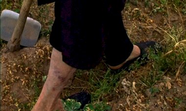 "Terra que marca" de Raul Domingues na Berlinale 2022