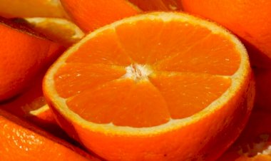 6º mostra de Silves, Capital da Laranja