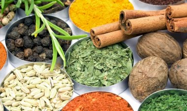 As plantas e o ayurveda desmistificados no Museu do Oriente