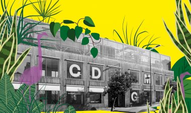 Casa da Memória convida a participar no projecto “Selva Coragem” através da partilha de plantas