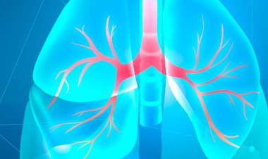Investigadores desenvolvem técnica não-invasiva para caracterização do cancro do pulmão