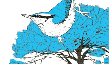 Inauguração do Percurso Poético  «O Extraordinário Caminho das Árvores – Biblioteca!» , no Parque Ambiental de Santa Margarida