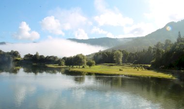 Câmara Municipal de Ponta Delgada assinala Dia Internacional da Floresta e Dia Mundial da Água