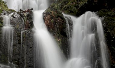 Lousã celebra dias temáticos sobre o Ambiente