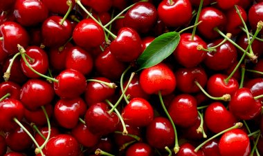 Festa da Cereja &co em Alfândega da Fé de 7 de maio a 12 de junho