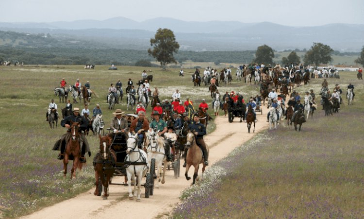 Romaria a Cavalo “com forte peso na economia” de Viana do Alentejo