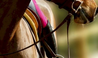 Grandiosa Feira de Santa Cruz regressa a Lamego