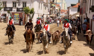 Feira de Maio de Azambuja volta em 2022 com seis dias de festa