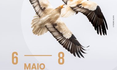 Vouzela acolhe Festival de Imagem de Natureza de Vouzela