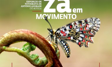 “A Natureza em Movimento” patente entre 13 de Maio e 30 de Junho, em Penamacor