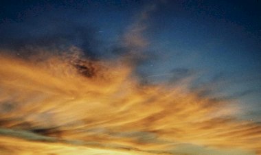 "O Primeiro Sol", de Sofia Dinger e Miguel Bonneville estreia no FITEI em Maio