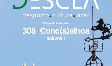 308 Conc(s)elhos Volume 2