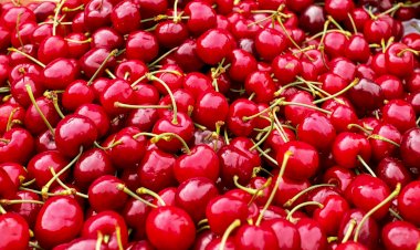 Festival da Cereja de Resende realiza-se em dois fins de semana