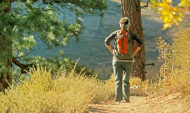 Caminho Medieval: “Recriação de peregrinação no Caminho Português de Santiago”
