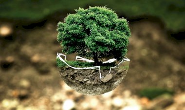 Município de Barcelos promove actividades na Semana do Ambiente