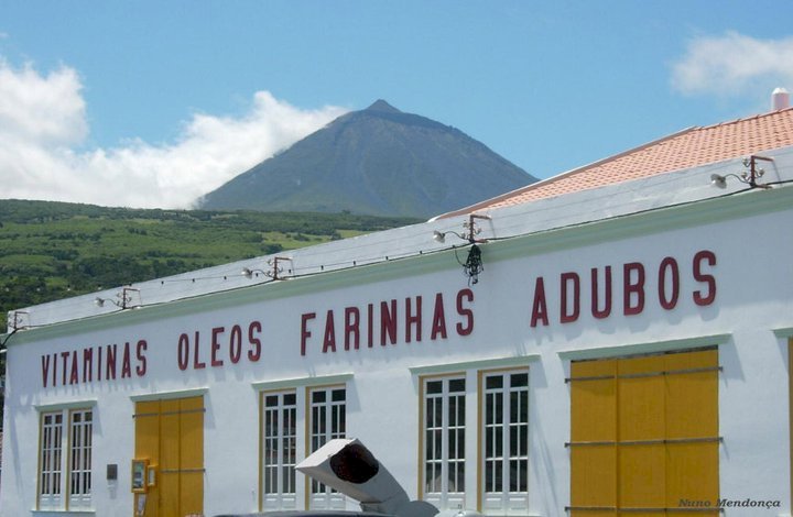 Museu da Indústria Baleeira - S. Roque do Pico