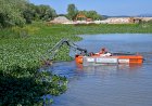 Montemor-o-Velho intensifica combate às plantas invasoras aquáticas
