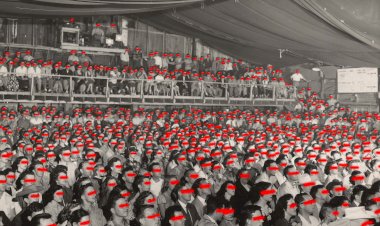 Insulto ao Público no Teatro Nacional D. Maria II