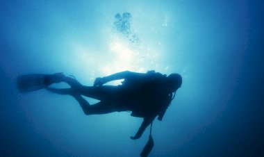 Exposição na Praça Manuel Teixeira Gomes propõe passeio pela história da arqueologia subaquática do rio Arade