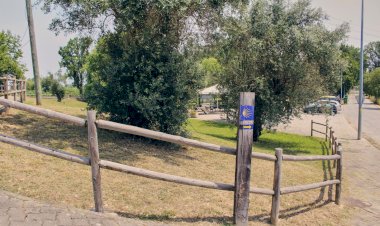 Câmara da Mealhada celebra Dia de Santiago